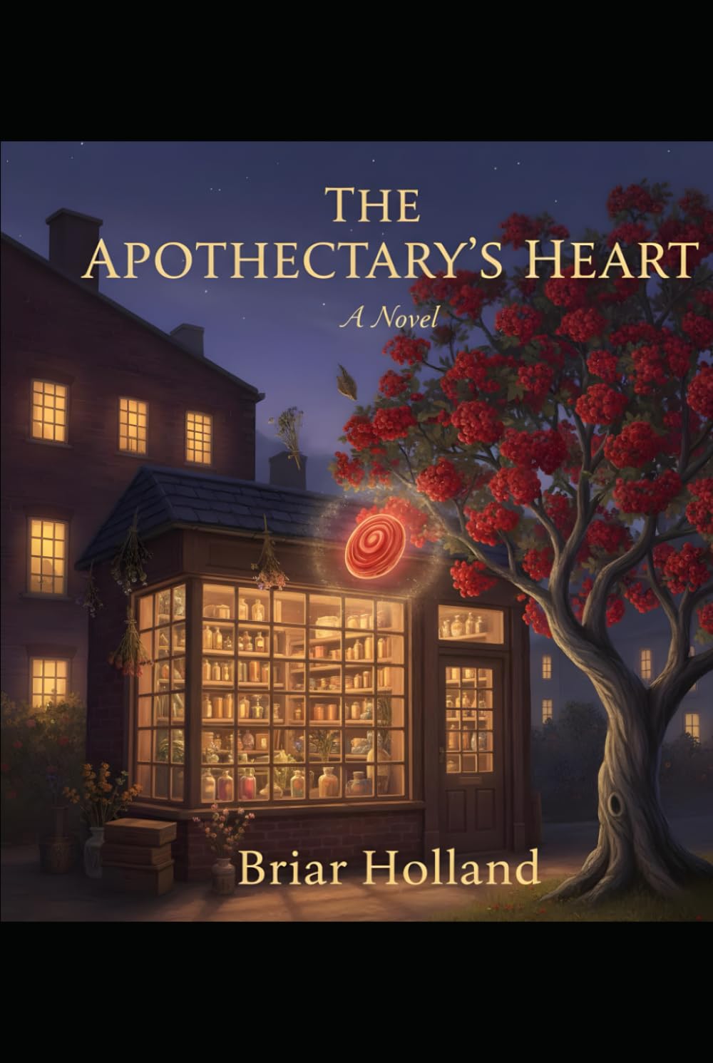 The Apothecary's Heart: A Second-Chance Romance (Willowbrook Magic Series)