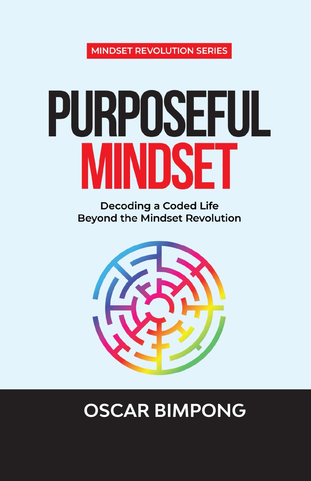 Purposeful Mindset: Decoding a Coded Life Beyond the Mindset Revolution