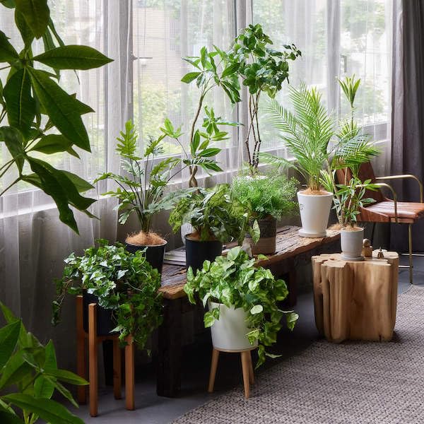Amazon｜GREENPARK ポトス インナーポット 6号 観葉植物 フェイク