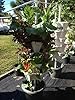 Mr. Stacky New (20) Individual Stacking Hydroponic 13" Pots - Build Your Own Vertical Container Growing System - Grow Vegetables Herbs Strawberries Greens Food Safe Plastic Stackable Planters #1