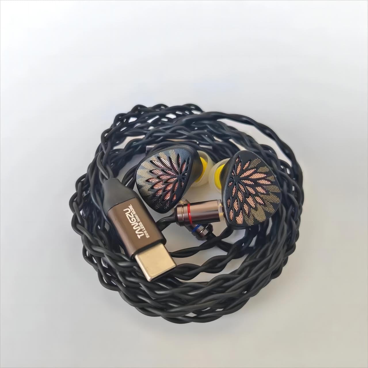 TANGZU YuXuanJi TPLX 10mm Topology Dynamic Driver in Ear Monitor Earphones, HiFi Wired Earbuds, Zinc Construction IEM Headphones (Black, Type-C)