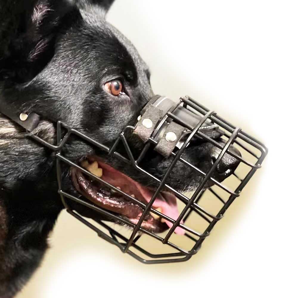Muselière en métal taille 20 panier en fil acier ultra-robuste pour chien de service