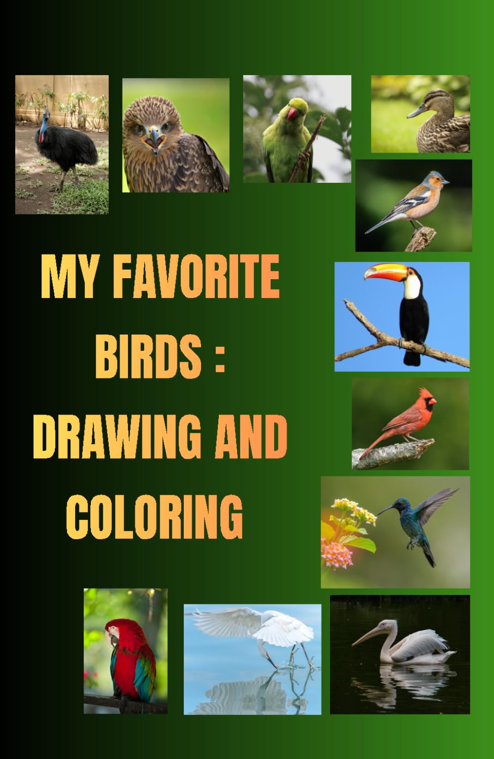 My favorite birds: Drawing and coloring