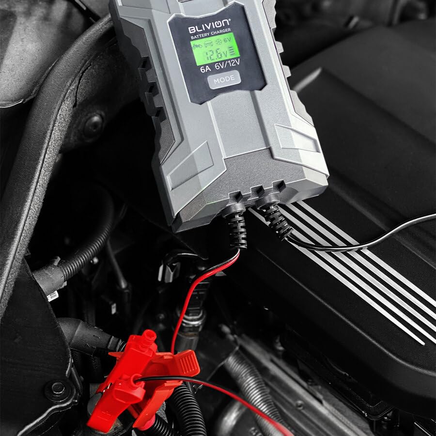 BLIVION Carica Batteria per Auto 6V/2A 12V 2A/6A | Fornisce diagnostica avanzata per indicare le batterie danneggiate | Per Batterie piombo acido