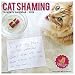 Cat Shaming 2019 Wall Calendar