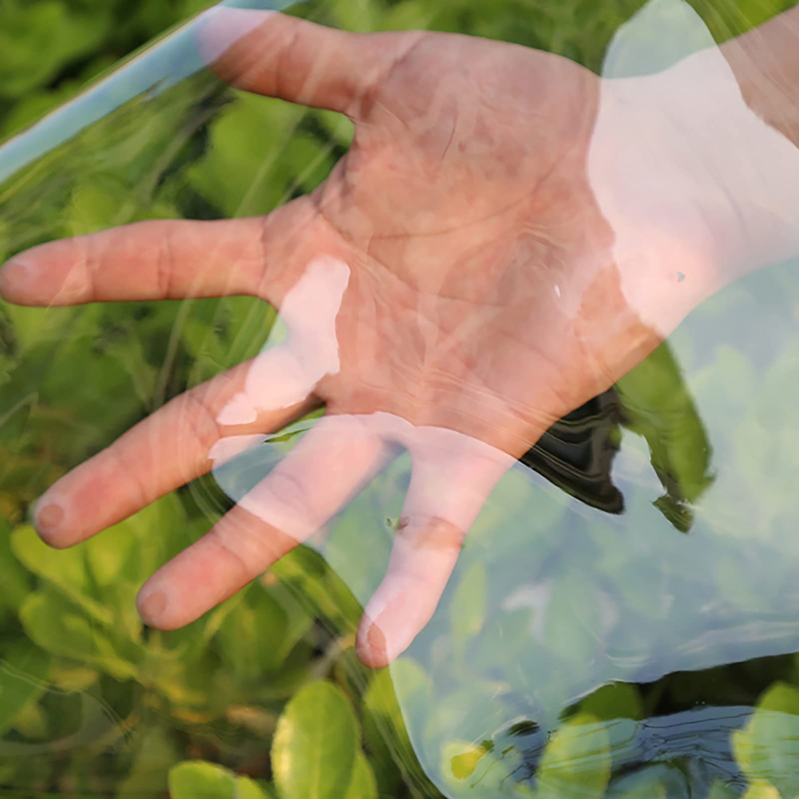 QWEASDF wasserdichte Transparente Plane mit Ösen, Vordächer und Planen, Wetterfeste Plane, für Gärten Terrassen Balkone Automobile Pflanzen Gewächshäuser, Vordächer,1.8x2m/5.9x6.5ft