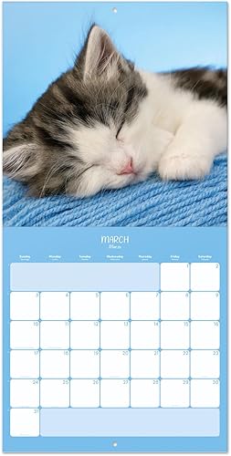 Miniatura 6 de Calendario de pared de gatos 2024 de 12 x 12 pulgadas, libre de plástico FSC, comienza la semana el domingo, planificador de 12 meses, calendario de