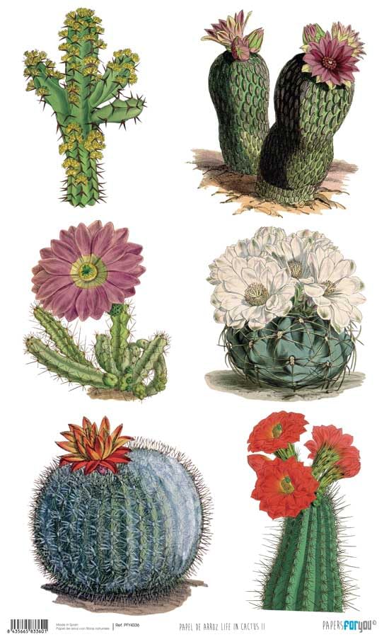 Papers For You Papel de Arroz 54x33 cm 25-30 gr. (Life In Cactus Ii)