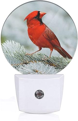 Uanvaha Luces nocturnas enchufables en la pared, luz nocturna de plumas brillantes doradas, sensor de atardecer a amanecer, lámpara LED para