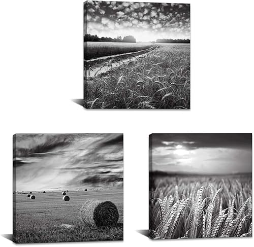 Miniatura 1 de SkenoArt Lienzo de 3 piezas de paisaje de campo para cocina, pintura de campo rural en blanco y negro, decoración de pared, decoración moderna de