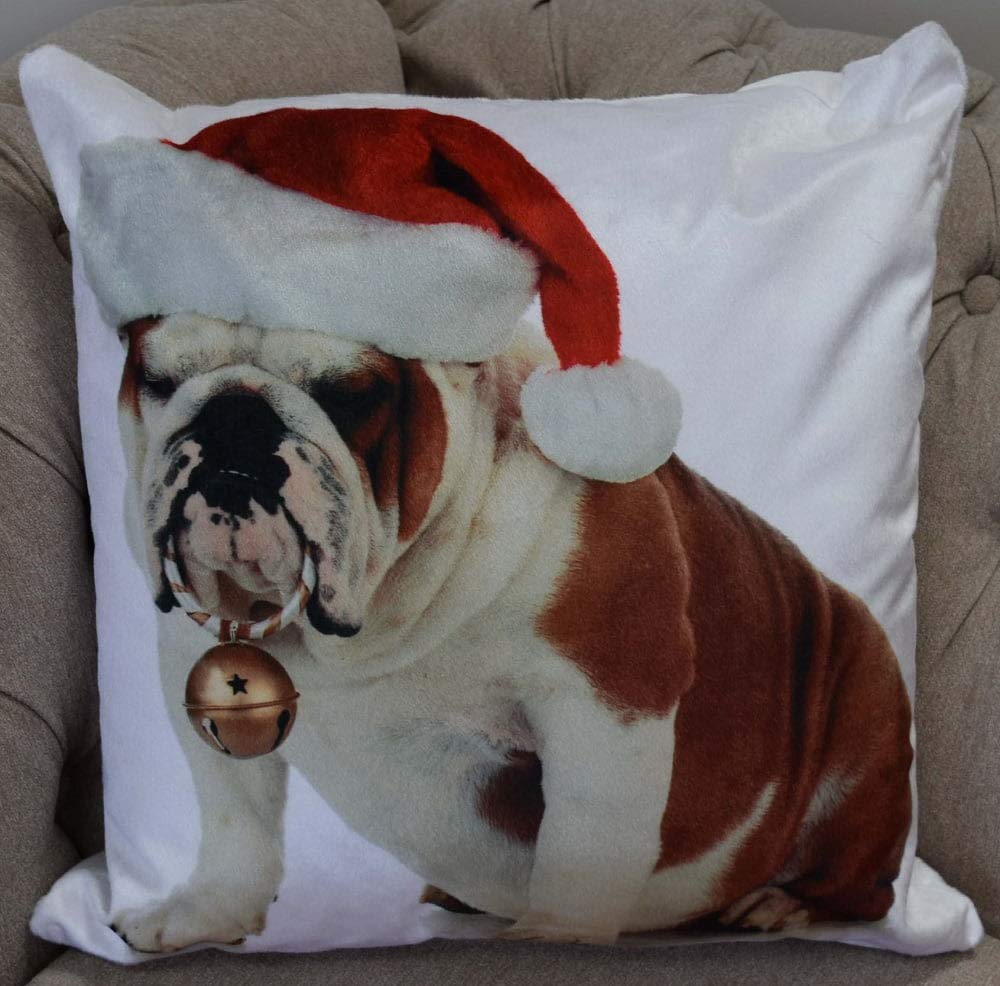 Rapport Home Photographic Bulldog Christmas Santa Hat Cushion Cover Scatter Square