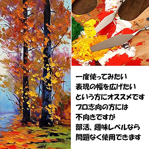 抽象画 色彩豊か パレットナイフ技法 抽象画 色彩豊か パレットナイフ技法 Amazon.co.jp: （ティー