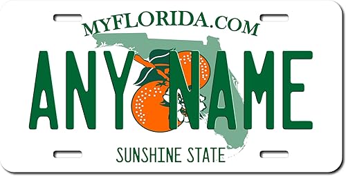 Placa de matrícula personalizada de Florida de 6 x 12 pulgadas (pulgadas) de aluminio. Añade tu nombre, texto o números. Placa novedosa de tamaño