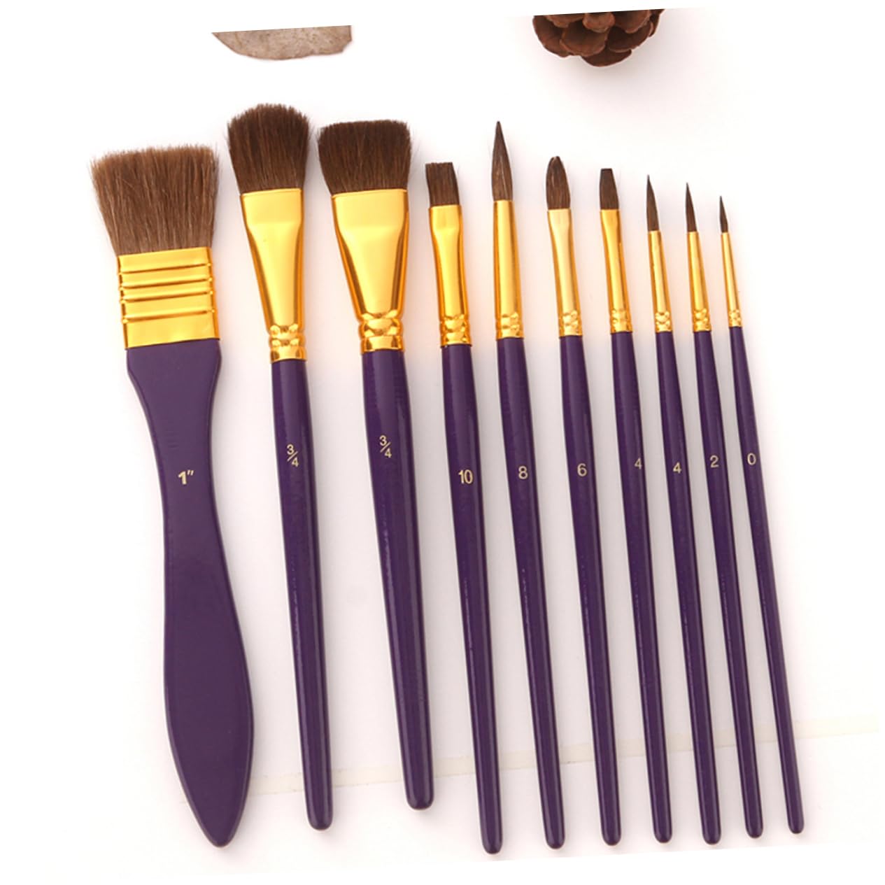 Housoutil 10 Pcs Watercolor Paintbrush Set Natural Bristle Wooden Handle Suitable for Oil Watercolor Acrylic Painting