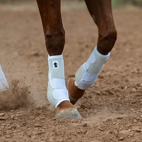Miniatura 7 de Classic Equine Flexion by Legacy - Botas de férula frontal, color aguamarina, talla M
