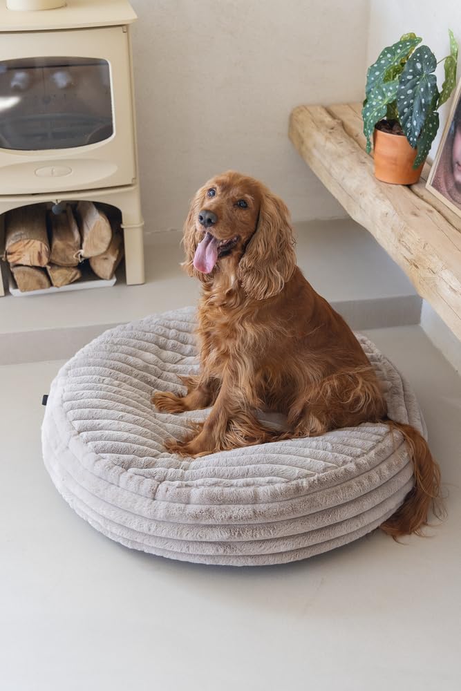 Designed by Lotte Reza, Hundekissen, Rund, Beige, 80x80x20 cm