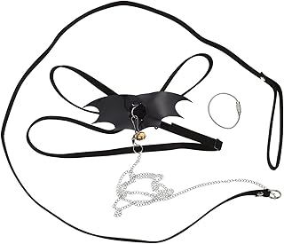 Mipcase 1 Set Lizard Leash Lizard Traction Rope Lizard Harness Hamster Leash Guinea Pig Leash Small Animal Harness Reptile Harness Reptiles Leash Crawl Pet Leash with Wings Drawstring Vest