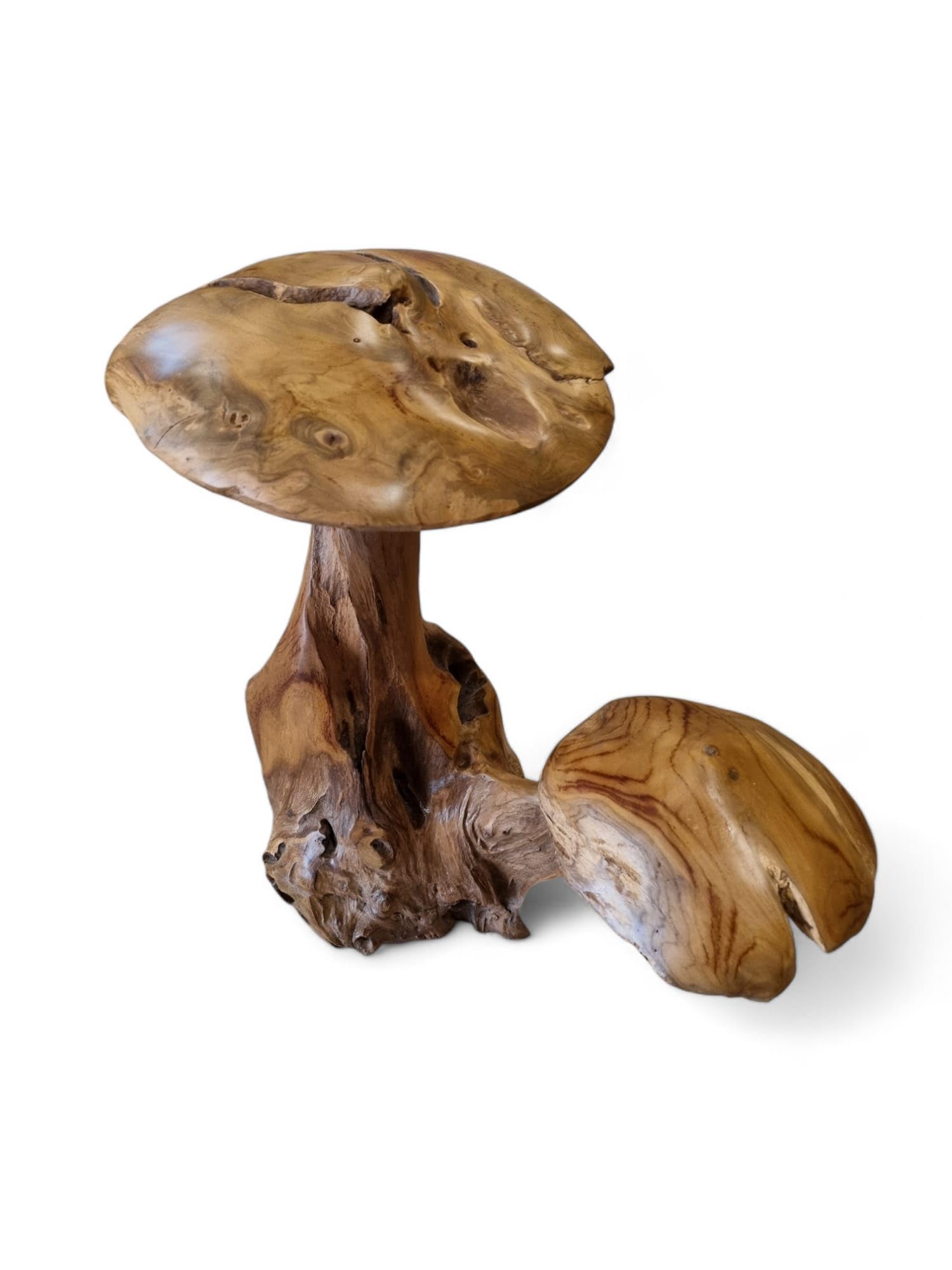 Kinaree 2er Wurzelholz Skulptur Pilz aus Teakholz ca. 45-55 cm – Handgefertigte Holz Skulptur als Garten- & Wohndeko – Massivholz Unikat aus Indonesien
