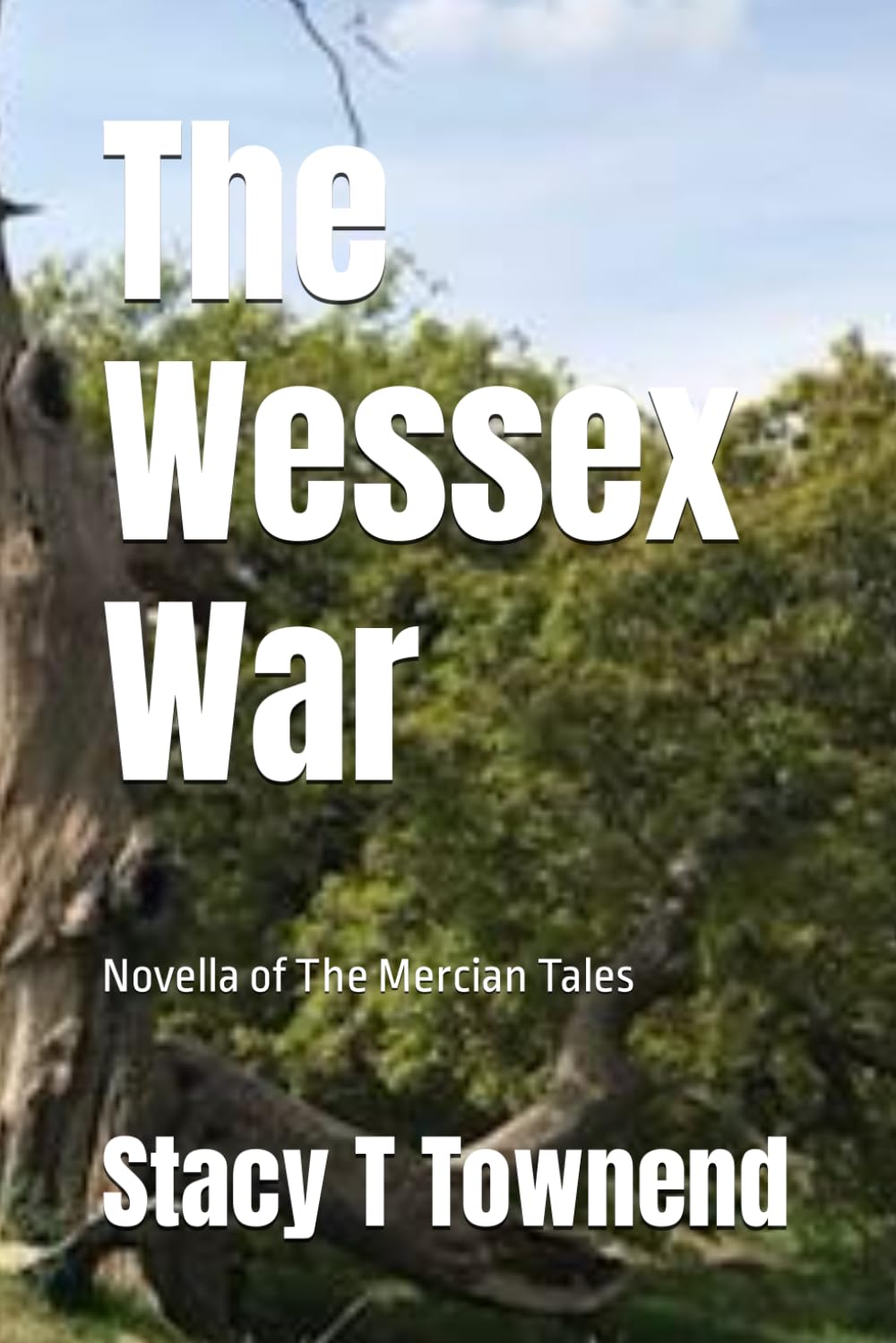 The Wessex War (The Mercian Tales)