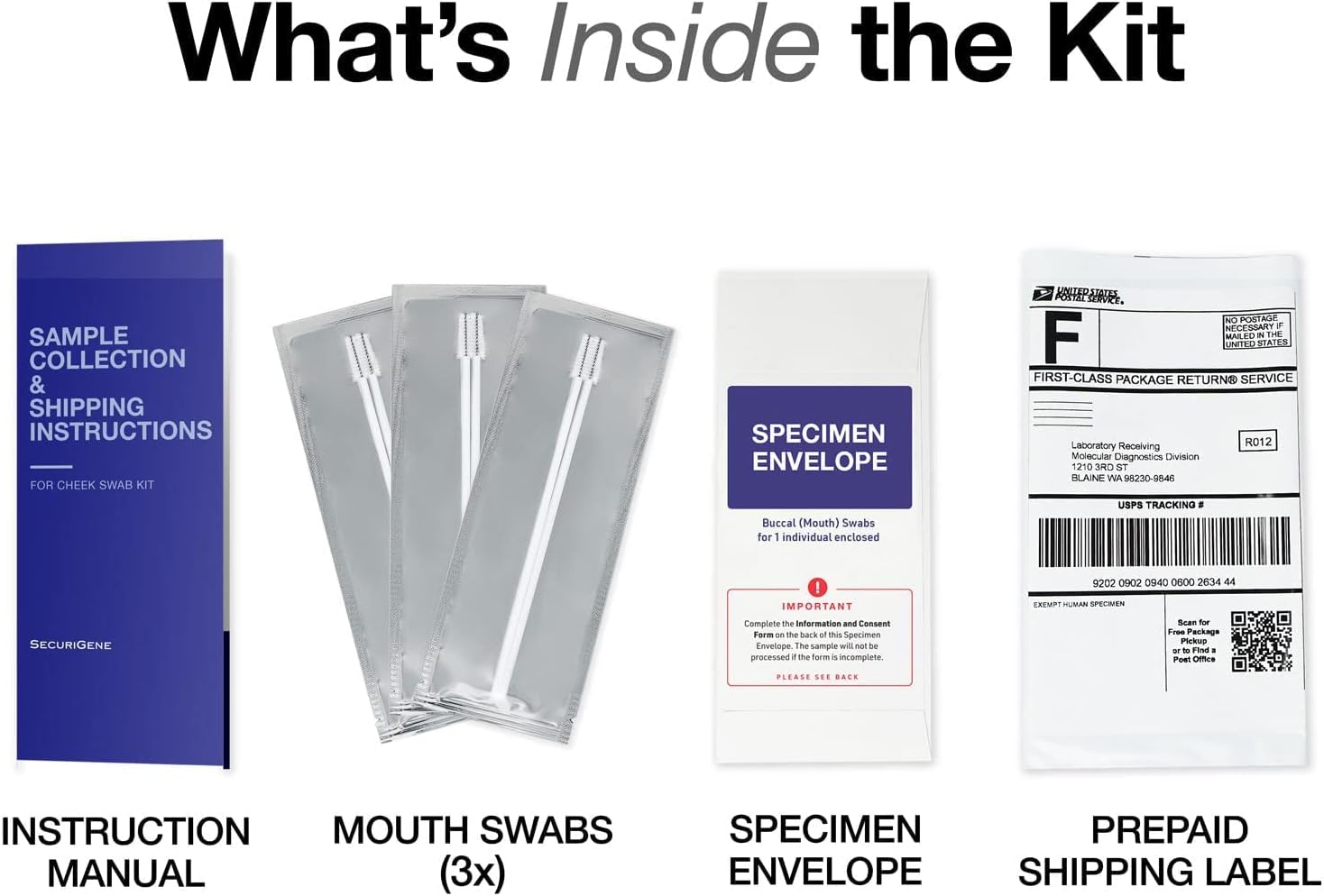 Premium DNA Paternity Home Test Kit - Results in 1-3 Business Days, Free Return Shipping by SecuriGene Labs