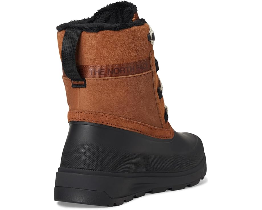 The North Face Shellista V Shorty WP - Back View