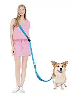Hands Free Dog Leash & Car Seatbelt, 5.3-7.9ft Crossbody Dog Belt with Dual Soft Handles, Shock-Absorbing, 360° Clip, Reflective Design for Walking, Running, Hiking, Travel. (Blue)