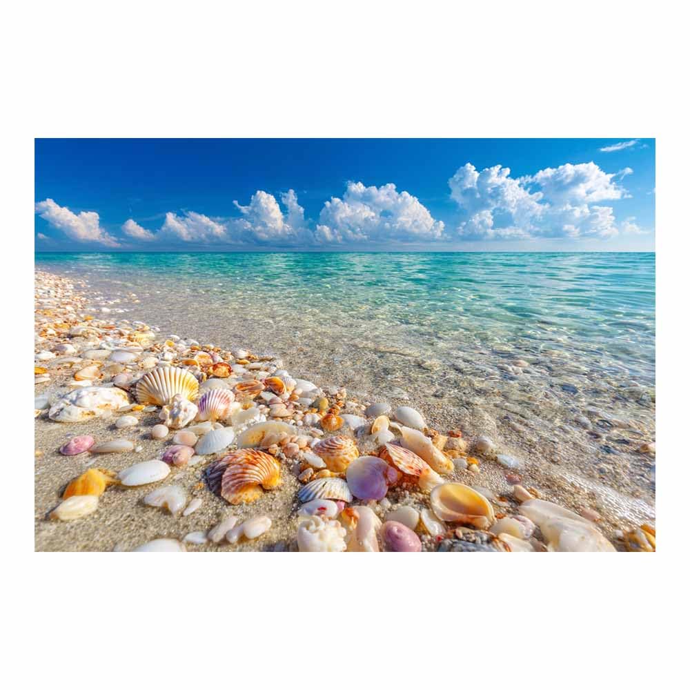HOQIU Beautiful wall art Tropical Beaches es Seashells canvas artwork for wall, art prints, For living room, bedroom, bathroom, dining room, painting and decor.(Multicolor)-80x120cm Unframed