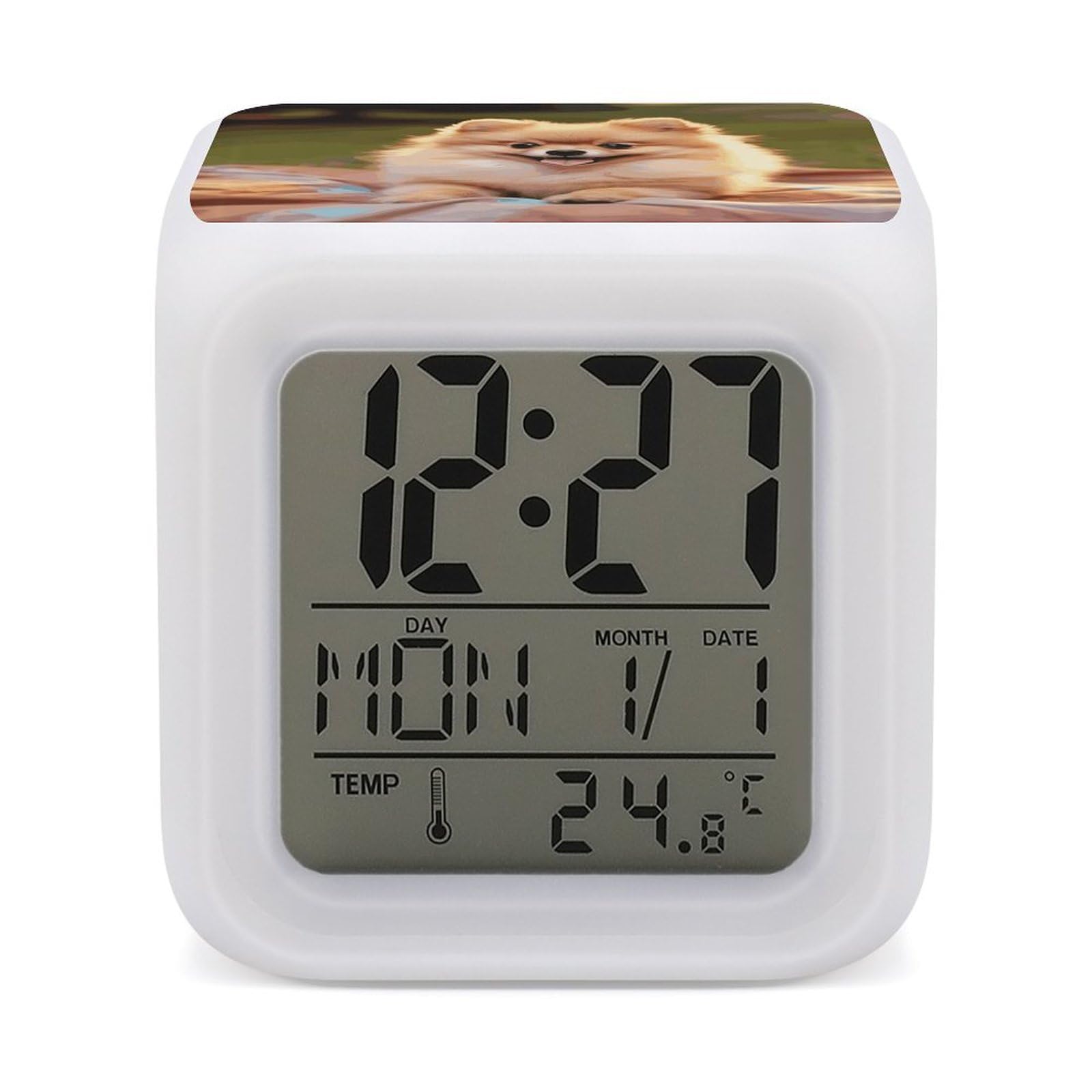 Short-haired Pomeranian Alarm Clock for Heavy Sleepers Small Digital Alarm Clock with Date Temperature Wake Up Digital Clocks with 7 Colors Changing Desk Clocks for Bedroom Bedside Nightstand