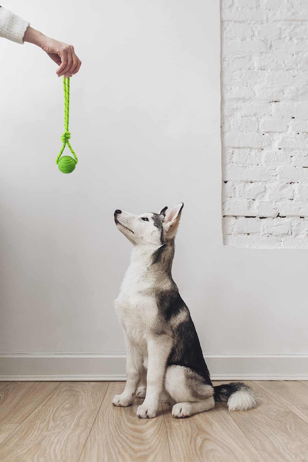 Amazon | Vitalili 犬用トレーニングボール ロープ付き ゴム製犬