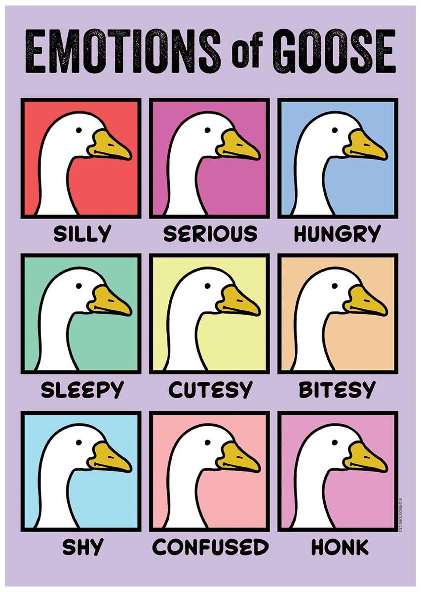 Grindstore Multicolour Silly Goose Emotions Of Mini Poster