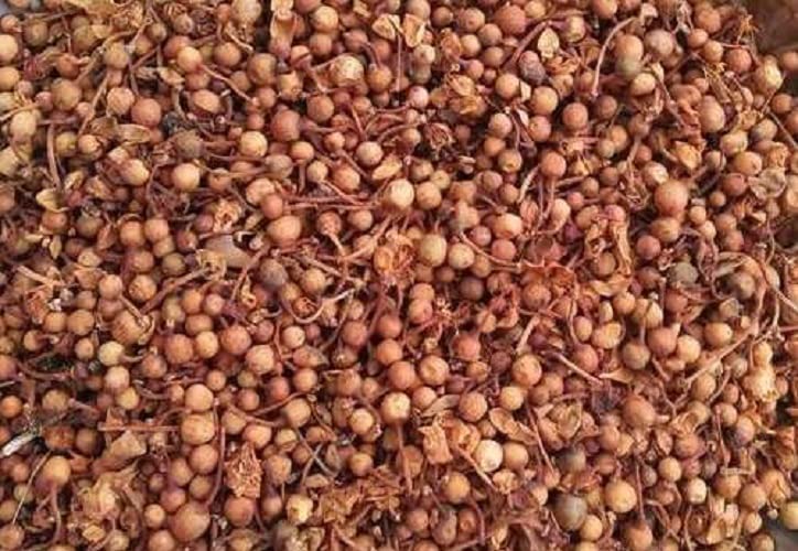 Mygodgift Nag Kesar,Nagakesara/Nagkesar/Mesua Ferrea/Champa phool/Saffron Nagaesara (100g) (B09TTTMFVD) Amazon Price History, Amazon Price Tracker