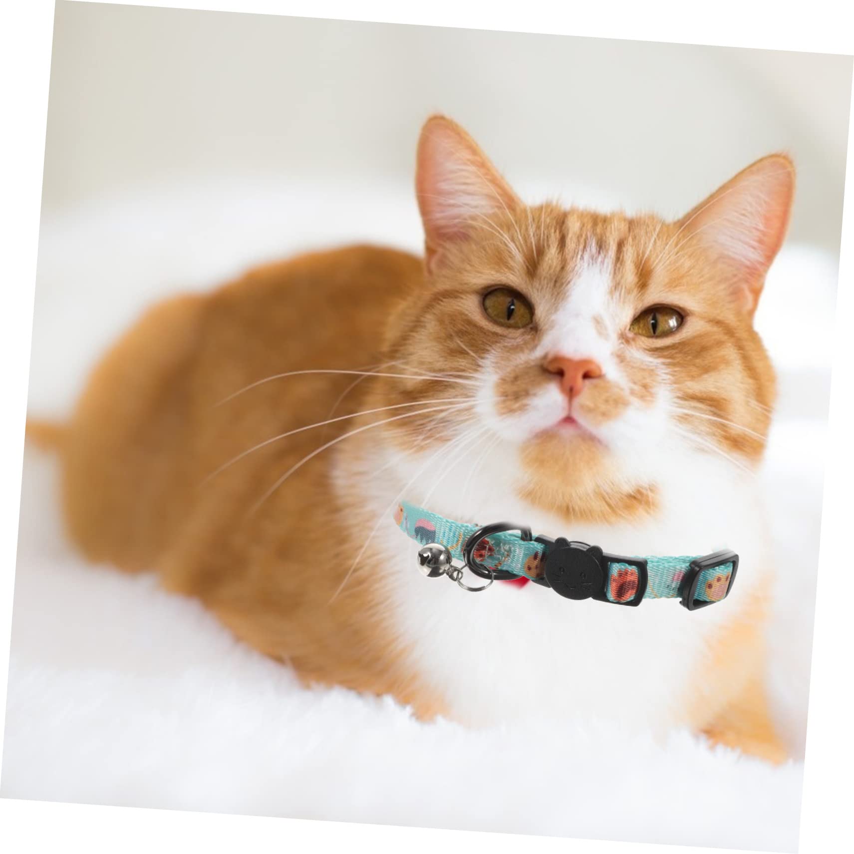 Mipcase 10stücke Verstellbares Katzenhalsband Mit Glocke Sicherer Ausbruchsschutz Für Kätzchen Atmungsaktiv Und Hautfreundlich Für Kleine Tiere Süßes Design