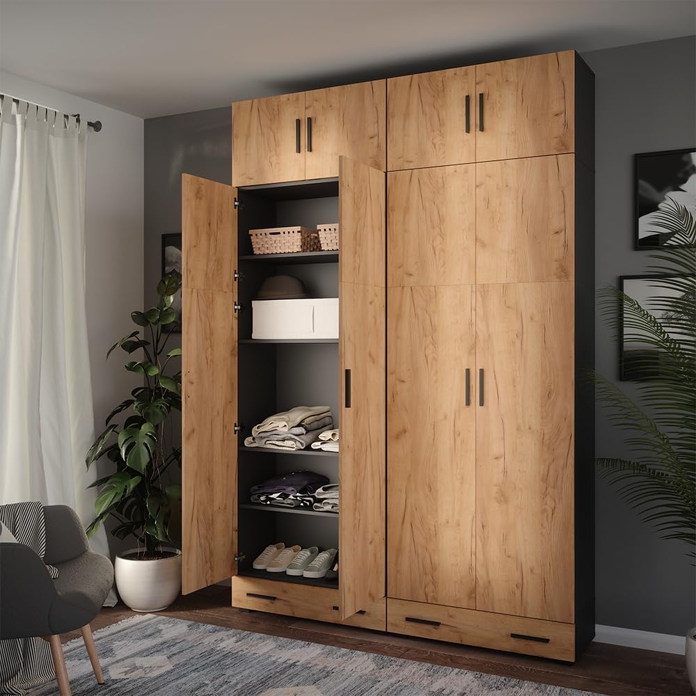Vicco Armoire Universelle Ingo, Anthracite/chêne doré, 80x183.8cm, pour Le Rangement des dossiers et classeurs au Quotidien au Bureau