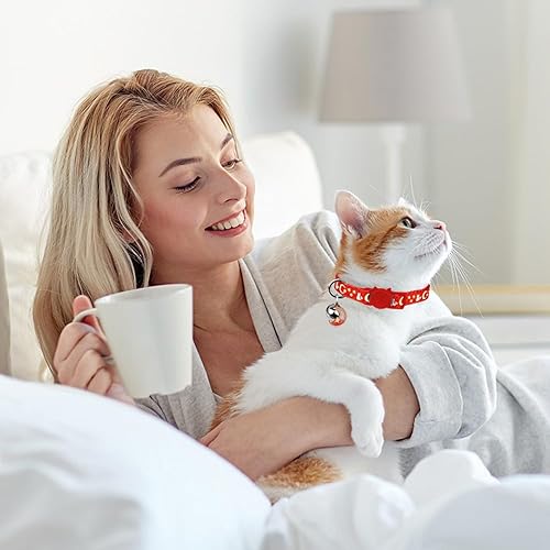 Miniatura 6 de 2 collares de gato con campana, ajustables que brillan en la oscuridad (rojo y morado)