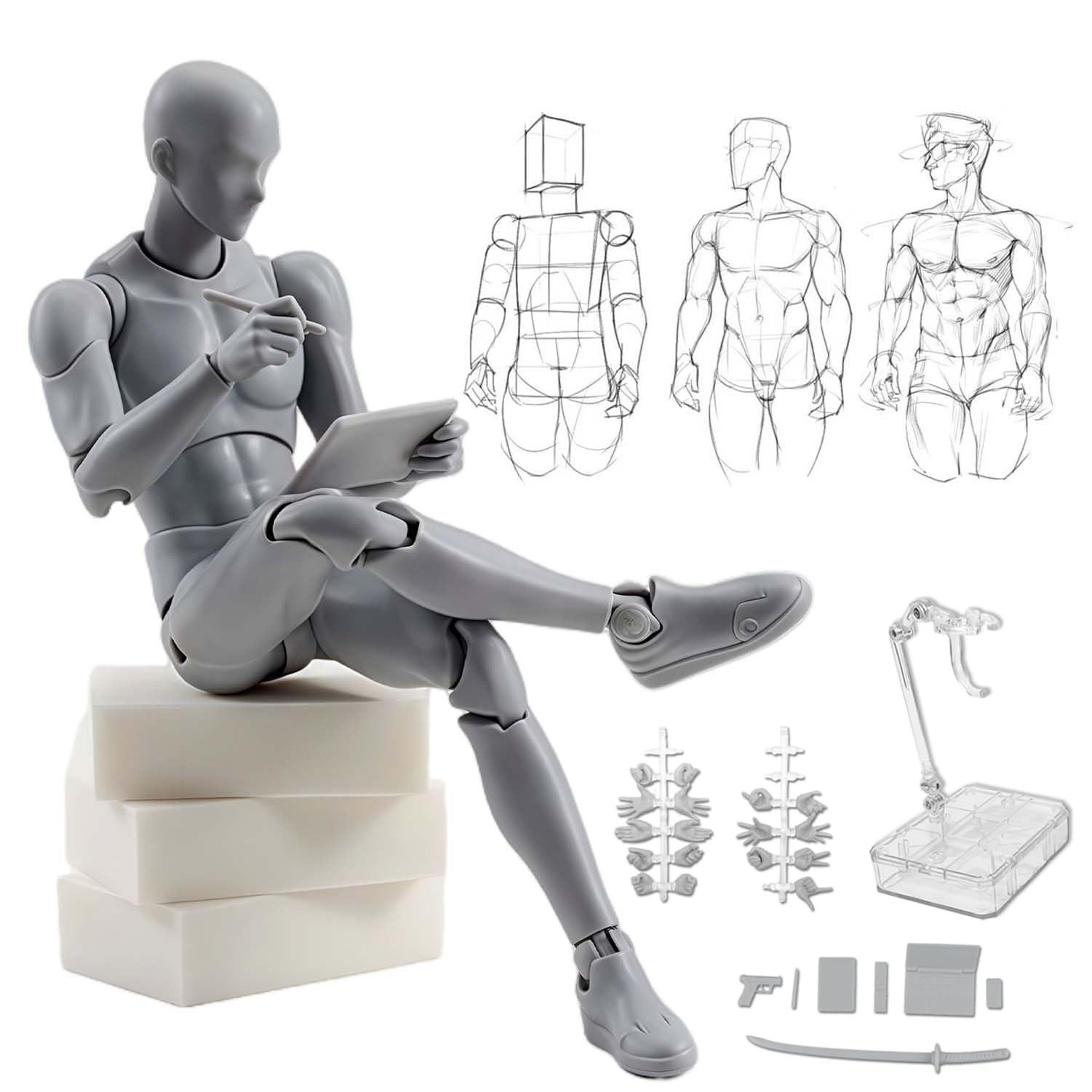 Amazon.co.jp: デッサン人形 関節可動30ヶ所 ポーズ人形 男性＆女性