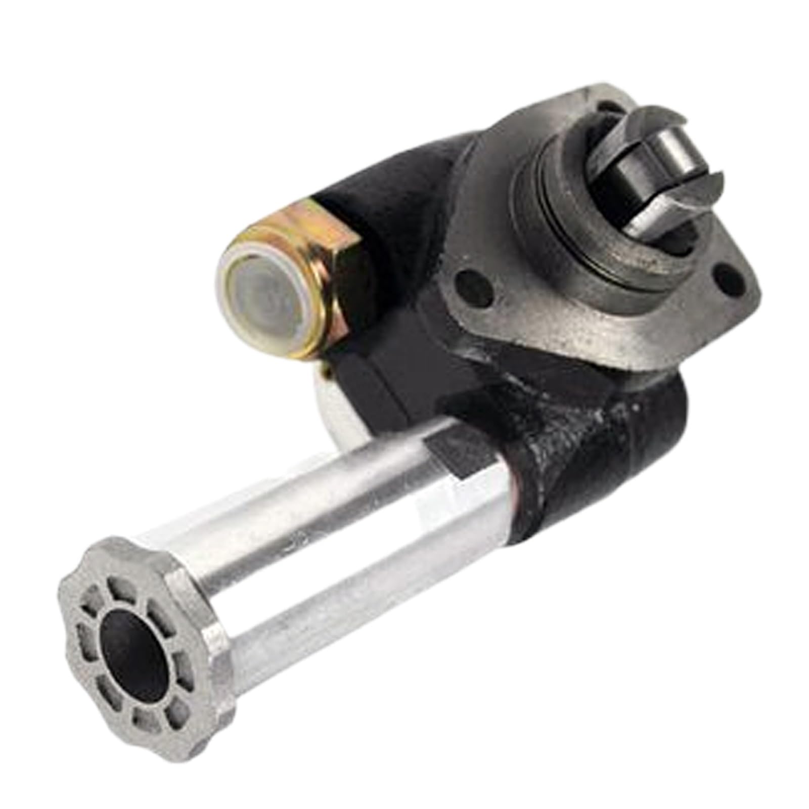 Amazon.com: ASSYA 25-38666-00 Fuel Pump 105220-5571 11-3356