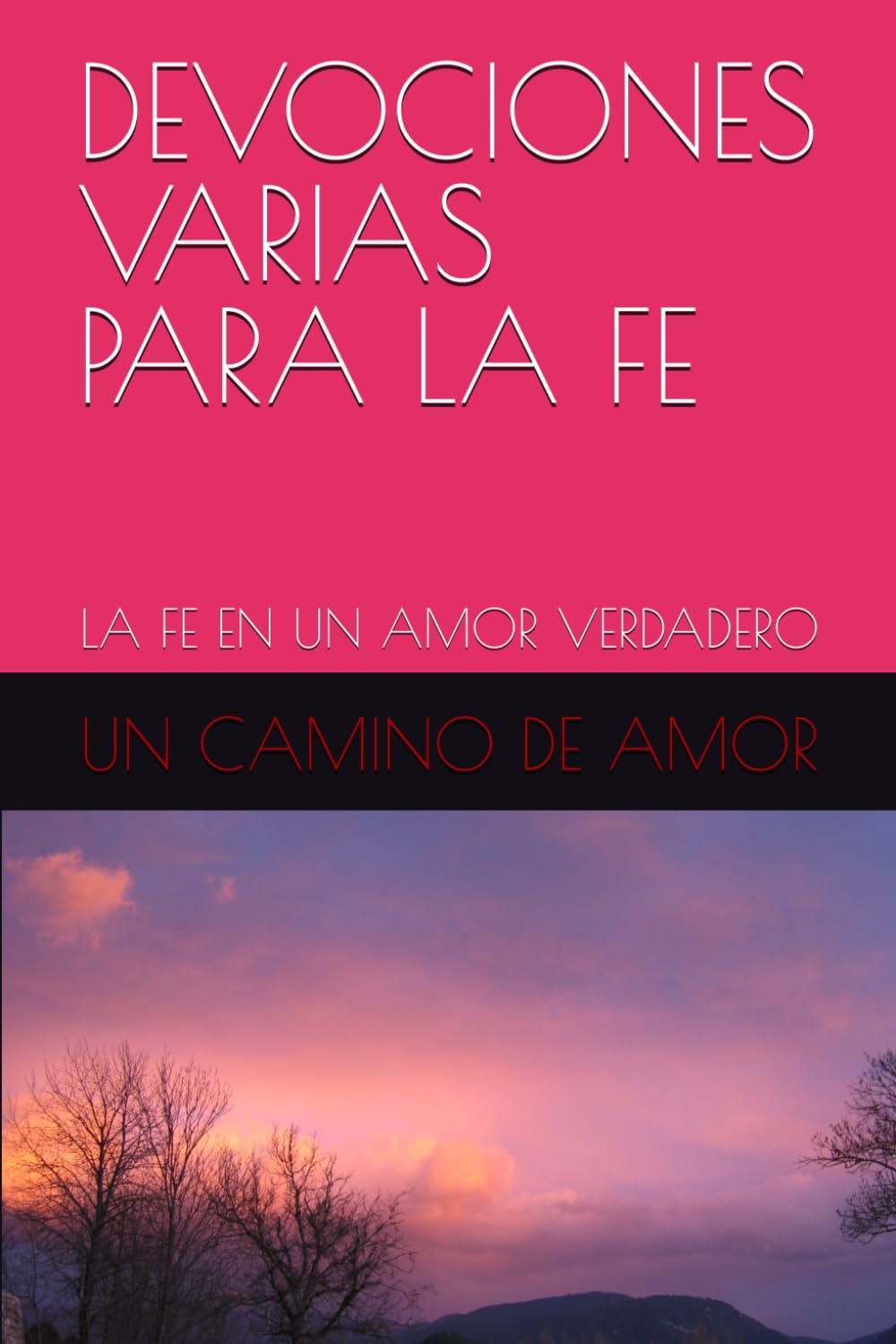 DEVOCIONES VARIAS PARA LA FE: LA FE EN UN AMOR VERDADERO