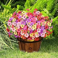 Mixed Color(red+yellow+fuchsia Purple+pink+purple)