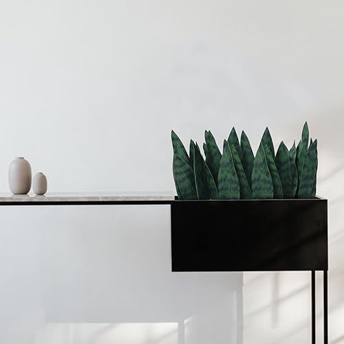 Miniatura 10 de summer flower Juego de 10 piezas de plantas de serpiente falsas de 9 pulgadas, pequeñas hojas artificiales de Sansevieria, tallos de plantas de