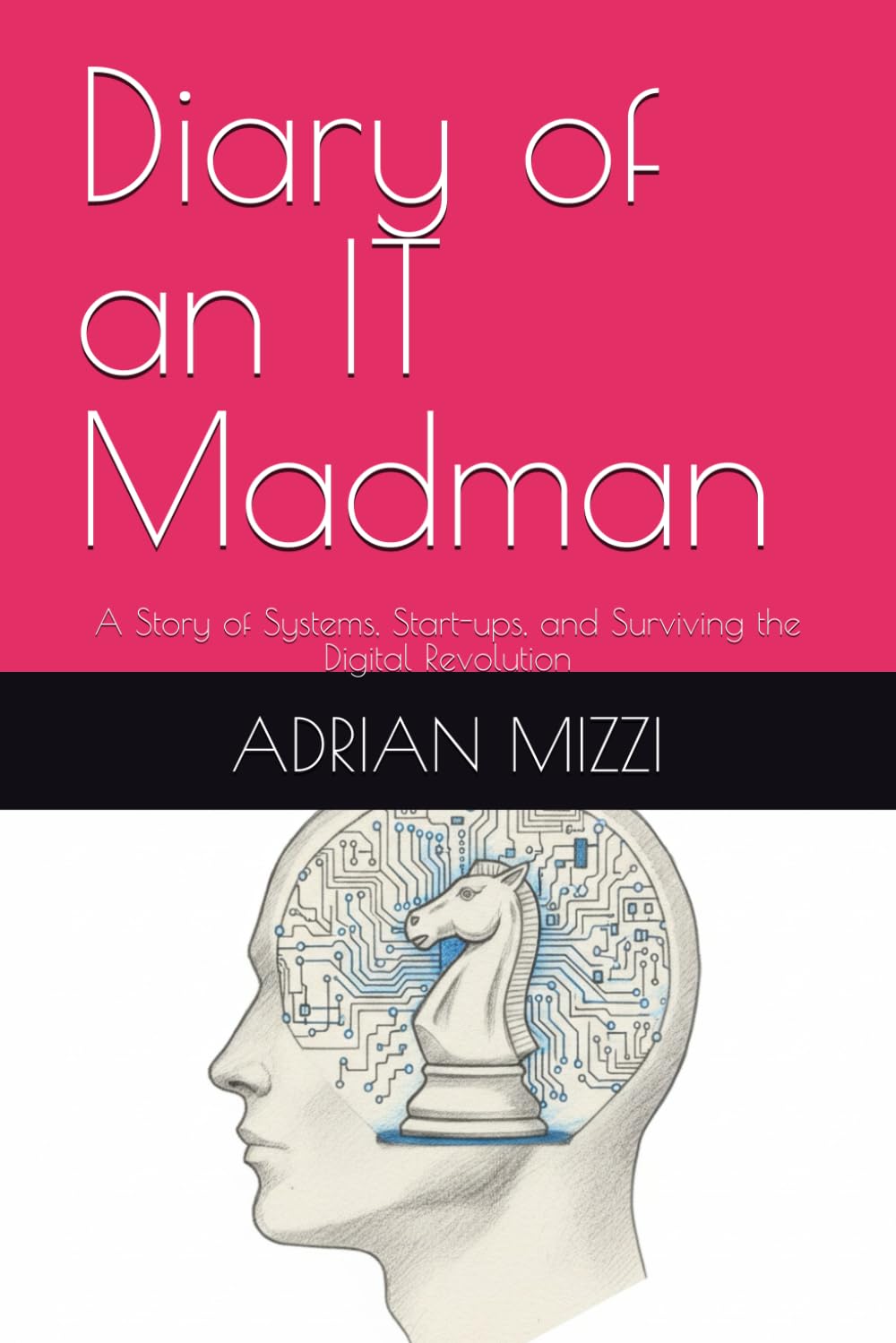 Diary of an IT Madman: A Story of Systems, Start-ups, and Surviving the Digital Revolution