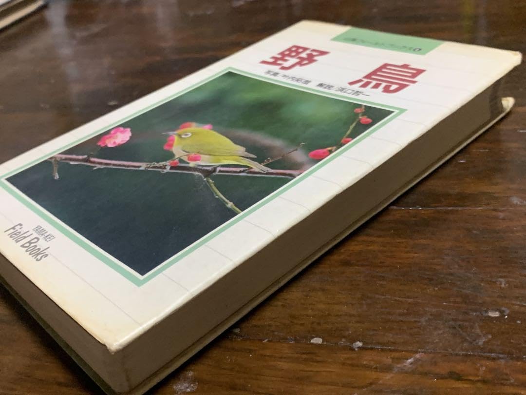Amazon.co.jp: 野鳥 (山渓フィールドブックス④) 叶内 拓哉 : おもちゃ