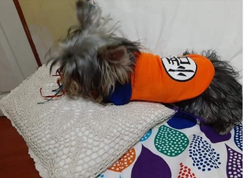 Miniatura 4 de Sudadera con capucha de dibujos animados para cachorros, perros y gatos, ropa de invierno para mascotas para perros pequeños, bulldog francés,