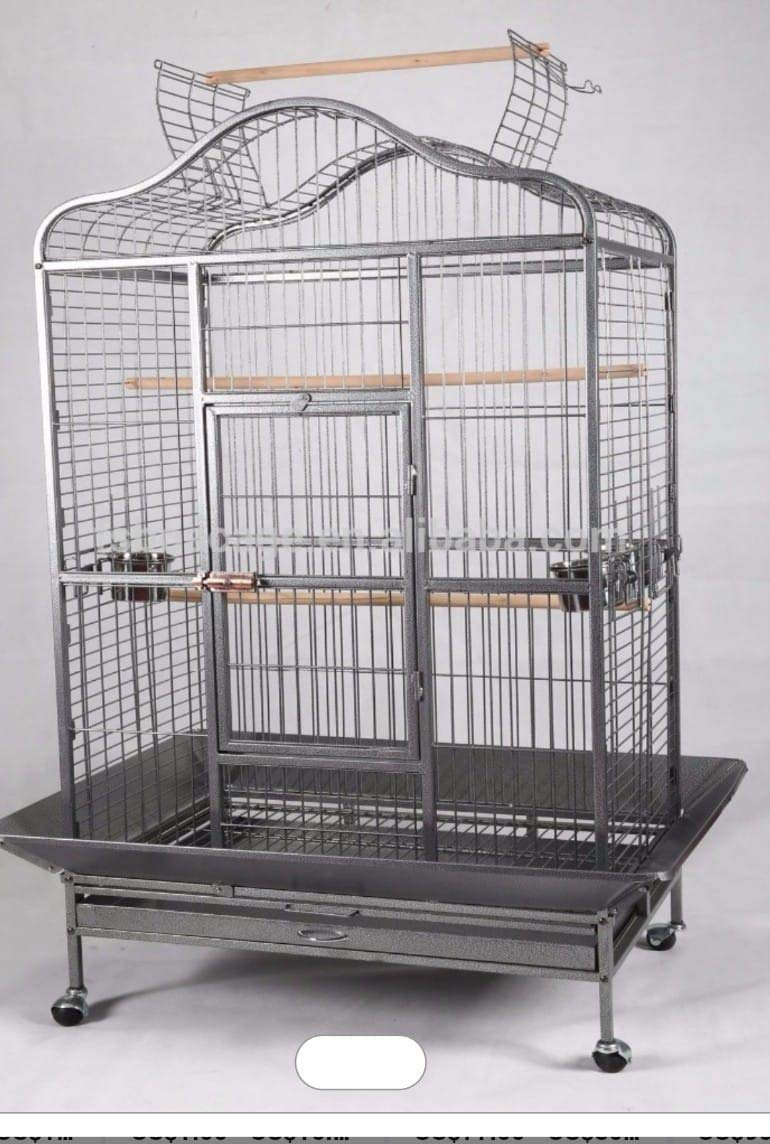 CENTRAL FISH AQUARIUM Foldable Metal Bird Cage with Stand, Wheel with 3 Steel Cups, 3 Perch and Tray for Macaw, Green Parrot, Umbrella, Cuckoo & All Big Birds, L:102 x B:80 x H:166cms (Black) (B08XBZ8RQ3) Amazon Price History, Amazon Price Tracker