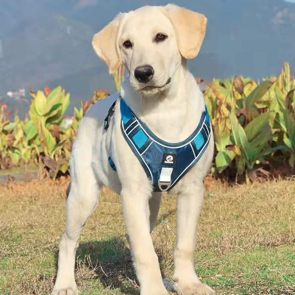 Anlitent Dog Harness No Pull for Small/Medium Dogs Anti Pull Outdoor