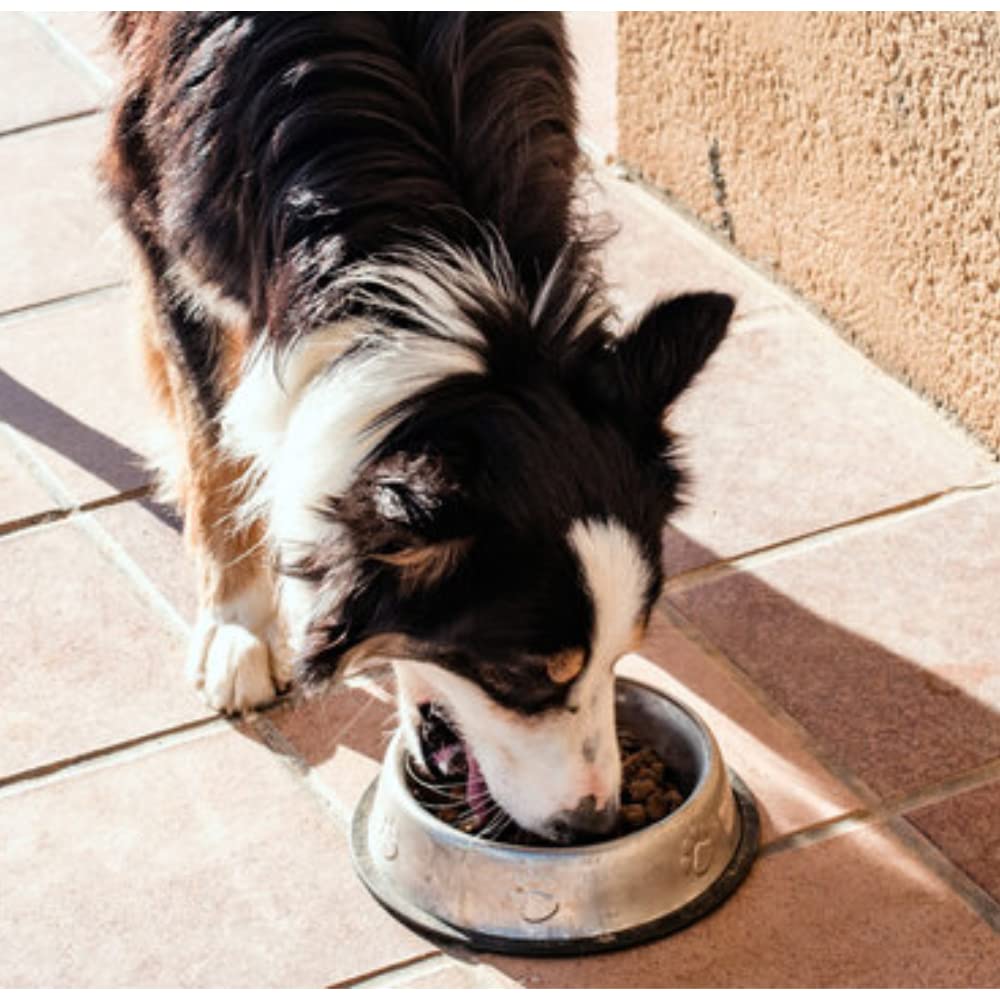 EL HAYEDO Pienso para Perros con Buey, Pollo y Arroz Alta Energía con Vitaminas - 20 Kg