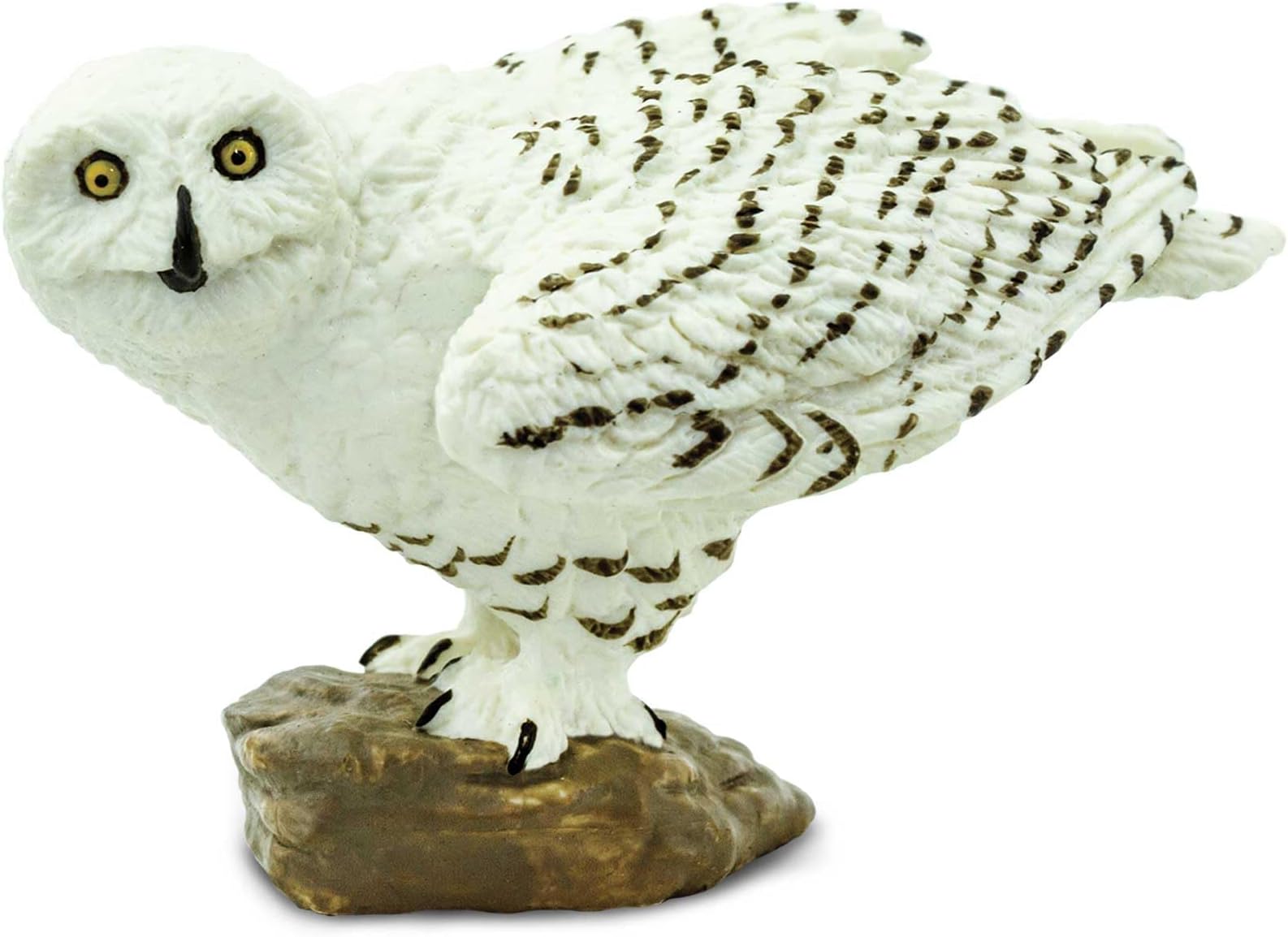 Snowy Owl