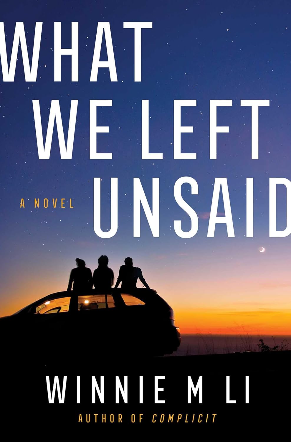 What We Left Unsaid: A Novel