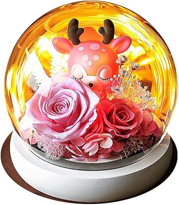 Amazon Orangesce プリザーブドフラワー ジュエリーボックス 枯れない花 女性 女友達 彼女 母 完璧な贈り物 として 大切な人へ感謝の気持ちを伝える バレンタイン 記念日 誕生日 人気 結婚祝い 引越し祝い 母の日 プレゼント クリスマス 入学 卒業 メッセージカード付き Amazon Orangesce プリザーブドフラワー ジュエリーボックス 枯れない花 女性 女友達 彼女 母 完璧な贈り物 として 大切な人へ感謝の気持ちを伝える バレンタイン 記念日 誕生日 人気 結婚祝い 引越し祝い 母の日 プレゼント クリスマス 入学 卒業 メッセージカード付き