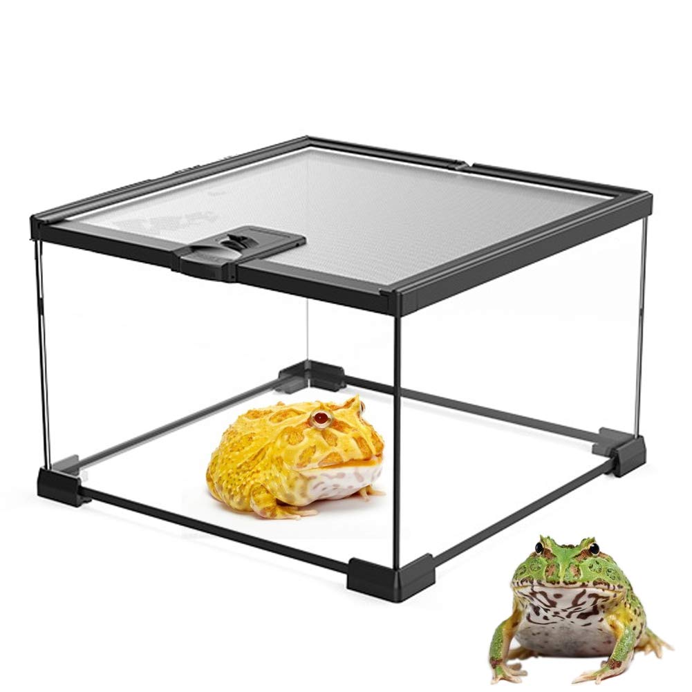 Buy Gecko Glass Terrarium, Rainforest Habitat Kit Top Screen