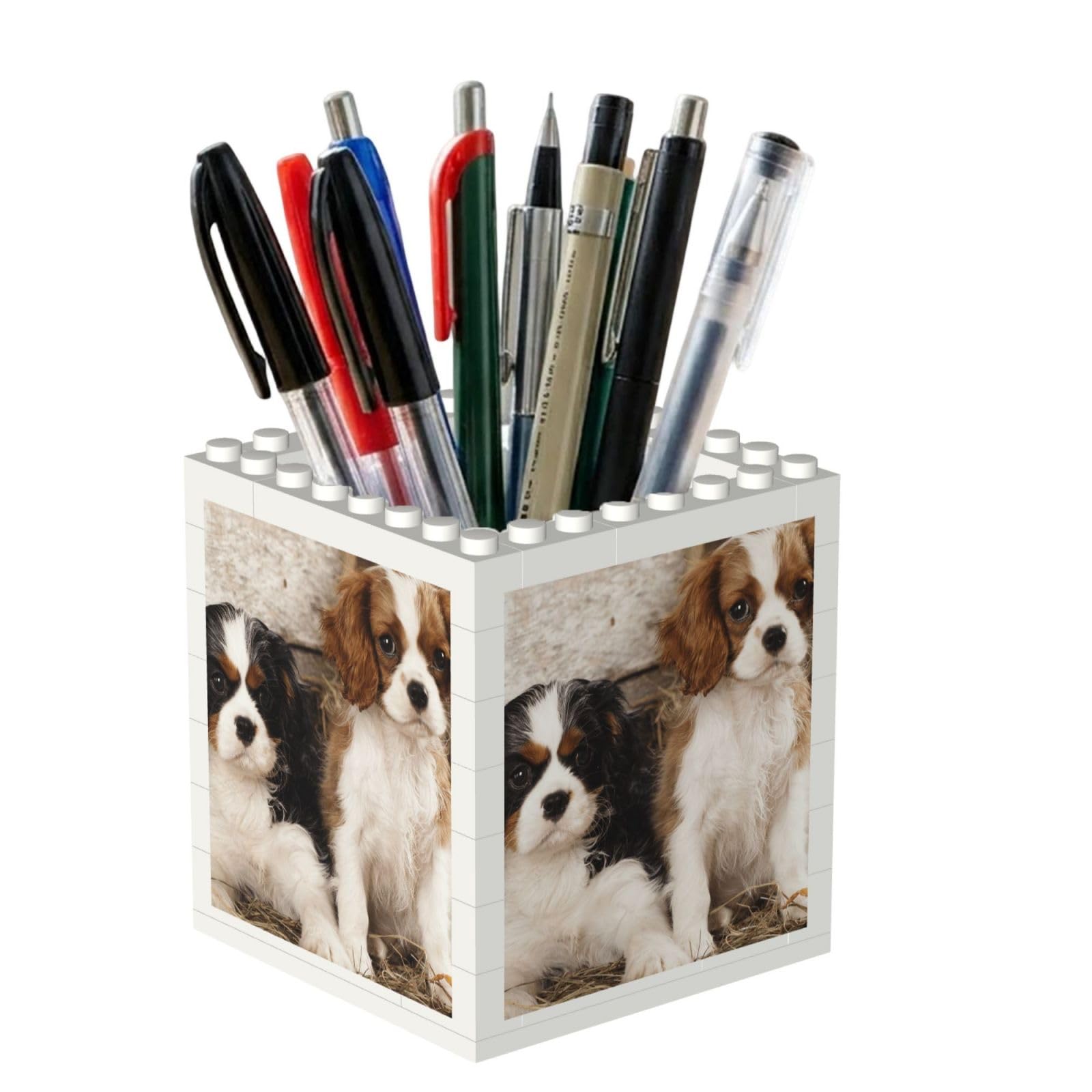 Poadnly Cavalier King Charles Spaniel Small Puppies, Pen Pot Pencil Holder for Office Home School, Compact Desk Organiser for Office Stationery
